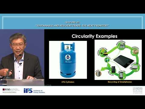 IPS-Nathan Lectures by Mr Tan Chong Meng — Lecture III