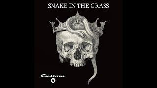 Snake In The Grass Lyrics English Translation