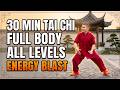 Full Body Tai Chi Routine 30 Minutes All Levels Energy Flexibility Boost