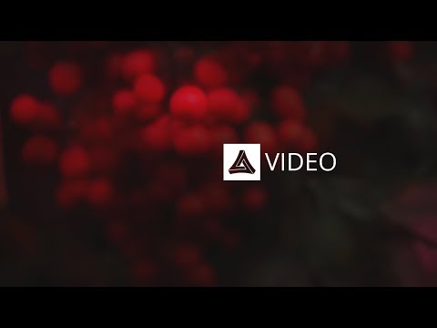 Katdrop - Stay (feat. Landon Stahmer) (Lyric Video) [Most Addictive Release]