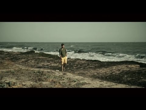 Павел Воля — Она сказала
