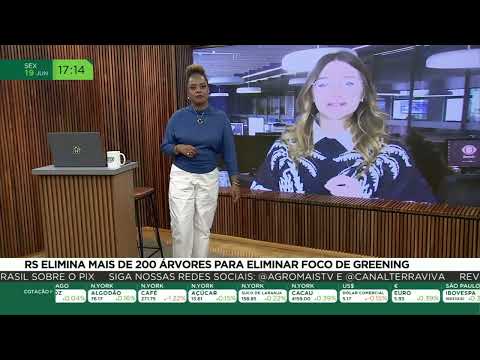 RS elimina mais de 200 árvores para remover foco de greening