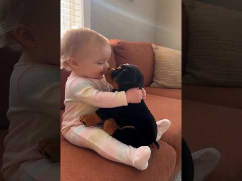 Giant Bruno Meets the Tiniest Rottie Puppy 🥹🐶