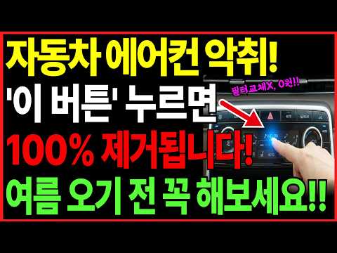 차량 에어컨 악취 해결법! '이 버튼' 누르면 걱정 끝!