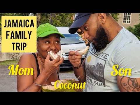 FAMILY TRIP TO JAMAICA - Zip Lining & more.