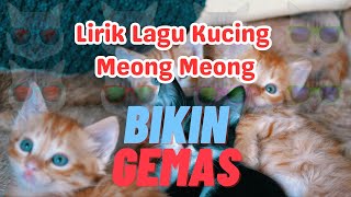 Lirik Lagu Kucing Meong Meong | Lagu Anak Anak Indonesia - Bikin Gemas! 🐱| Children's Songs