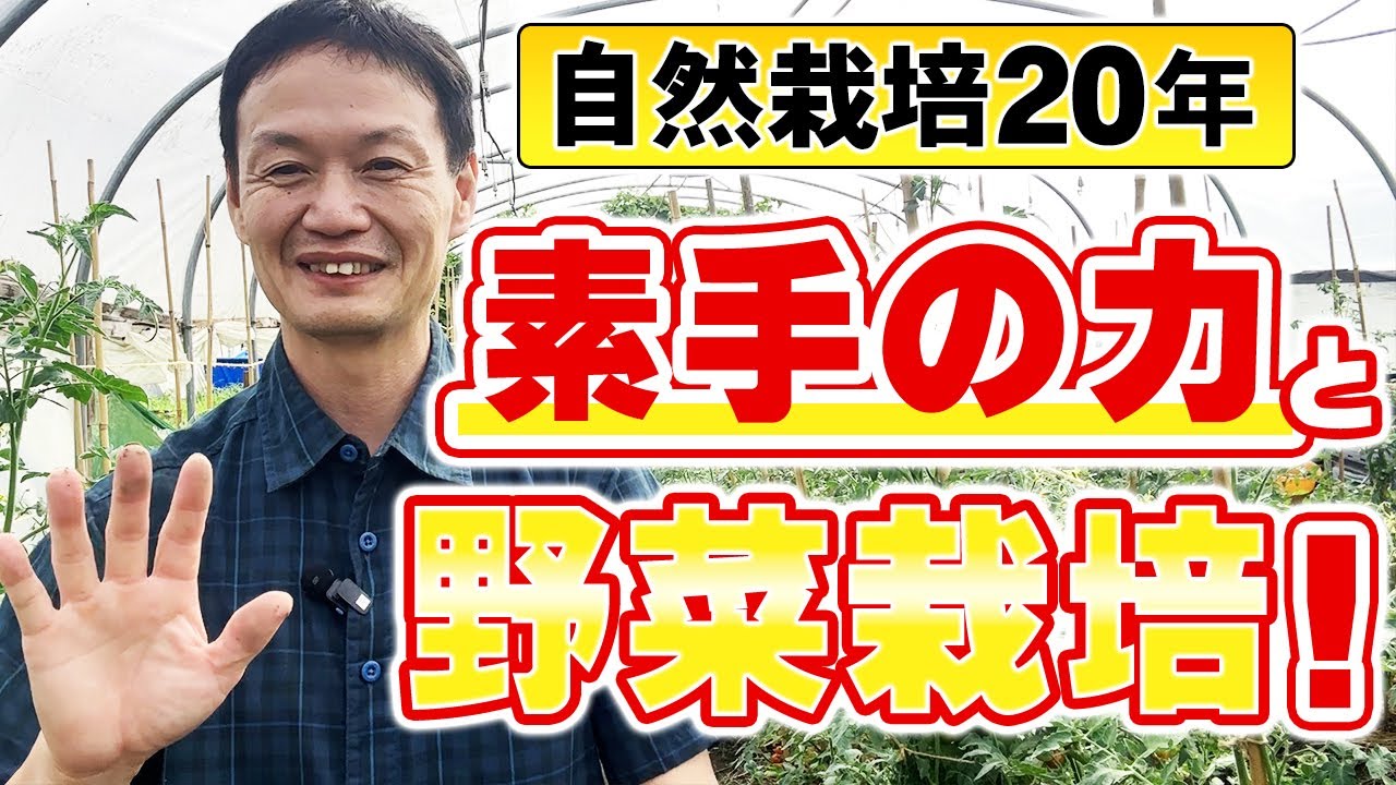 自然栽培で素手作業を取り入れる利点