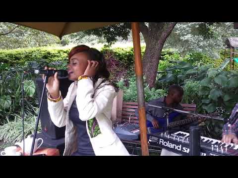 FEVER Performance by Rebi