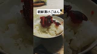 今日の朝ごはん