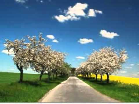 Luigi Ionescu - Te caut