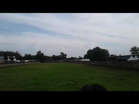 Final karapan sapi kapolda cup pamekasan,juara 1 joker bali,2 lek kolek kembang api,3 setan balap