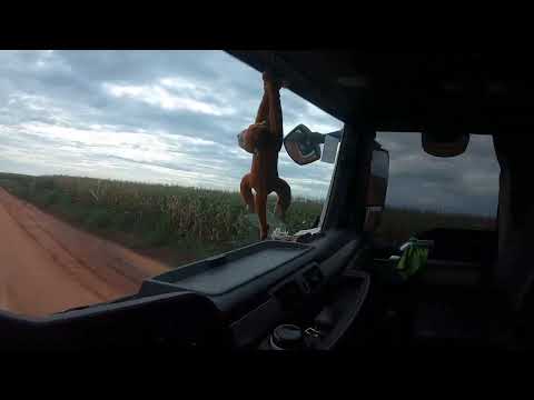 Fazenda vereda Bahia 