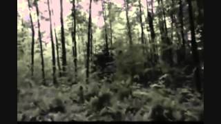 BLACK LUNG - Geostrategic Phantasmagoria