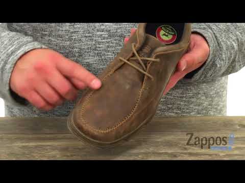 irish setter traveler chukka