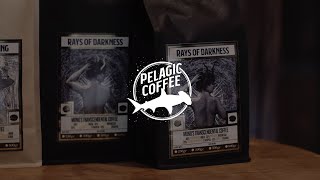 Pelagic Coffee - MONO - Rays of Darkness