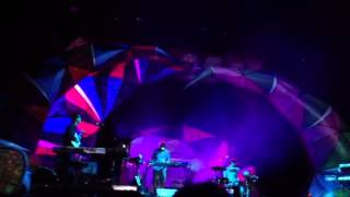 I think I can, animal collective