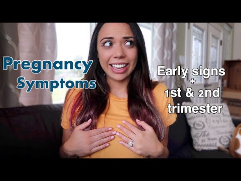 Early Pregnancy Symptoms | Things No One Will Tell You (TMI)