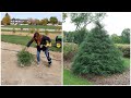 Planting A ‘Haywire’ Cypress & ‘Skinny Fit’ Gingko! 🌳🌿🌲 // Garden Answer