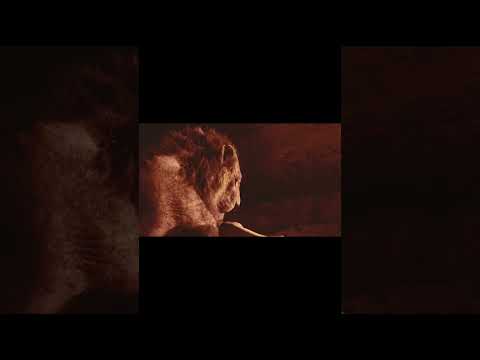 The Lion King's Unlucky Brother - TOON SANDWICH #funny #disney #lion #animation #shorts