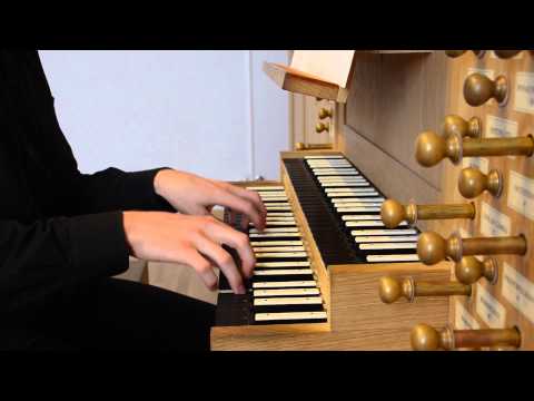 Stefan Donner BWV575