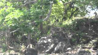 Summer in Nicaragua 2010 (granada)