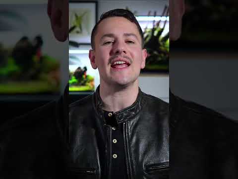 Acid Wash Seiryu Stone for Bolder Colors