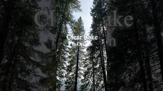 【アメリカ生活】オレゴンにあるClear Lakeにいってきました！！ボートに乗って綺麗な水、紅葉を満喫しました。