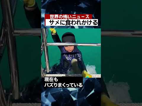 サメは人を食べるのでしょうか?