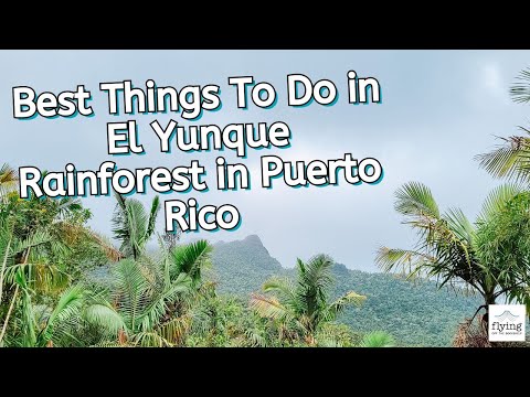 Best Things To Do in El Yunque Rainforest in Puerto Rico