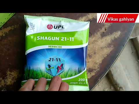 UPL SHAGUN 21-11 | shagun 21 11 | metributizin 42% + clodinafop propargyl 12% WG |  UPL SHAGUN