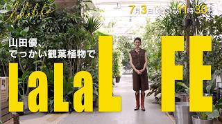 山田優､でっかい植物を買う『ララLIFE』7/3(金)【TBS】