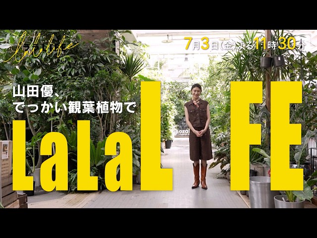 ララLIFE　〜人生を豊かにする、週末HOW TOバラエティ〜🈑