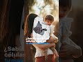 &iquest;Sab&iacute;as que las c&eacute;lulas de tu madre viven contigo?