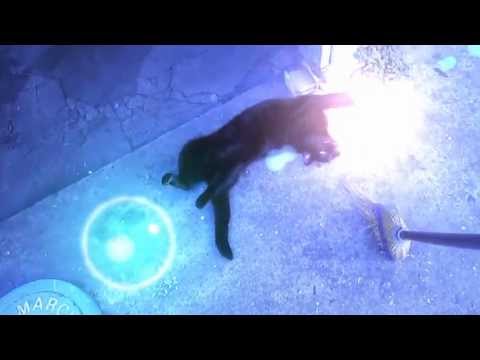 Aly & Fila Feat. Sue  McLaren -- I Can Hear You (Original Mix) with kitties