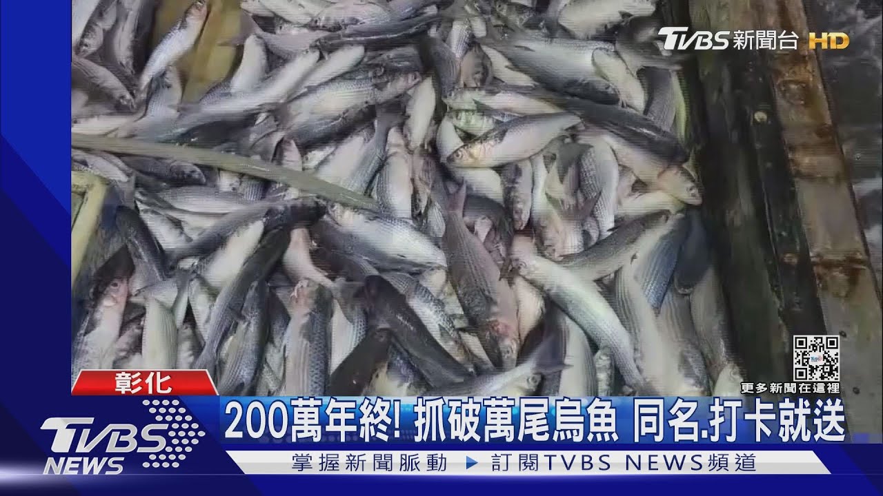 200萬年終！抓破萬尾烏魚　同名、打卡就送