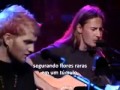 PORO611 Alice in Chains down in a hole (MTV ...