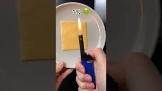 Lighter 🆚 Cheese 🧀 | Will it melt? 👀