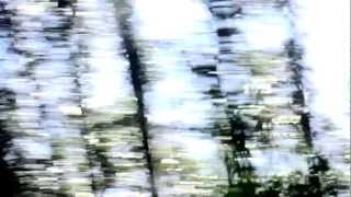 OSCAR HAHN - DISIDENTE