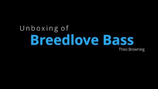Video thumbnail for Breedlove Solo Jumbo CE Acoustic Bass Unboxing by Theo Browning