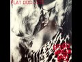 Flat Duo Jets - Apple Blossom Time