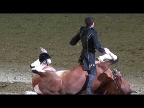 Funniest Horse Act Ever! Tommie Turvey and Pokerjoe!