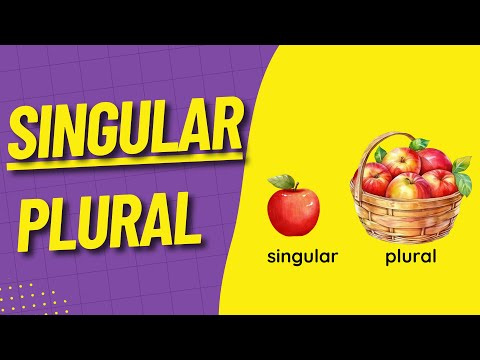 İNGİLİZCE TEKİL - ÇOĞUL KONU ANLATIMI | SINGULAR AND PLURAL NOUNS | - s, es, and ies