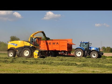 New Holland FR9050 - Loonw. Van Bruwaene E & D - gras hakselen