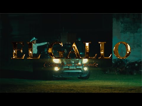 CiscoFromTheWoodz - “EL GALLO” (Video Oficial)