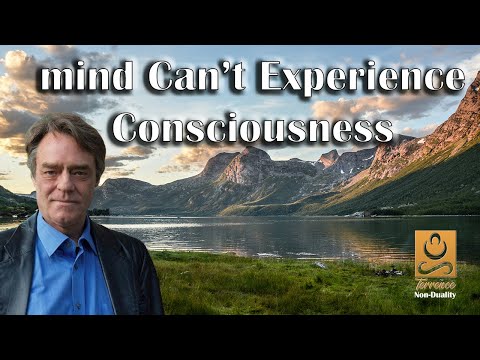 'mind' Can't Experience Consciousness - Non duality with Terrence