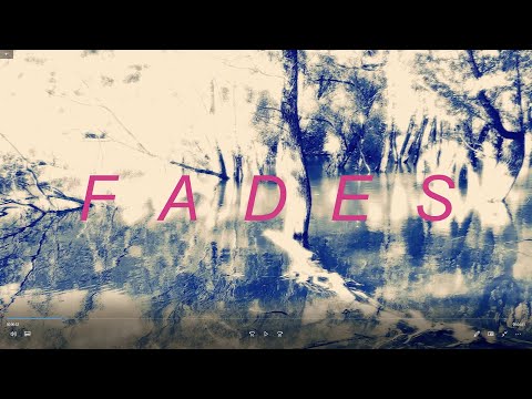 Stefano Panunzi (feat. Tim Bowness) - Fades (Official Video)