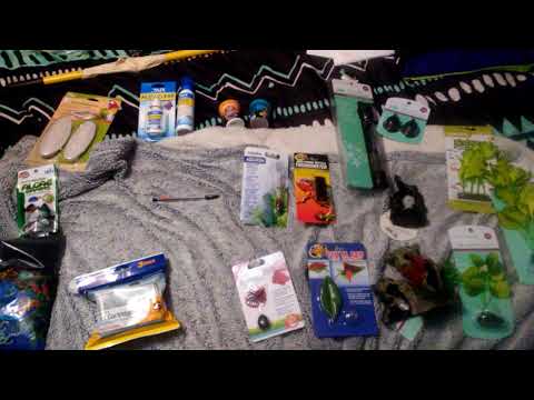 Pet supplies plus Betta fish haul