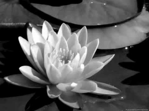 Black and White Photography