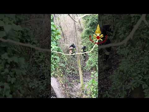 L'intervento di soccorso dei vigili del fuoco