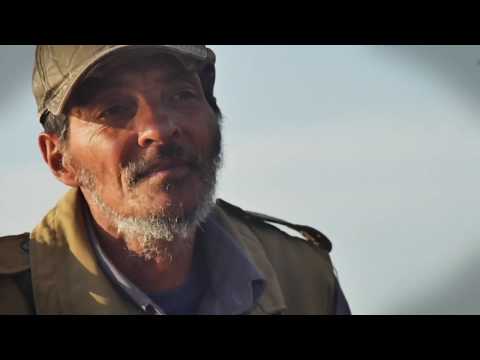 :: De pico embarrao - De tal Palo - Usina Castillos ::